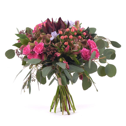 03001081_kytica-jesona-12