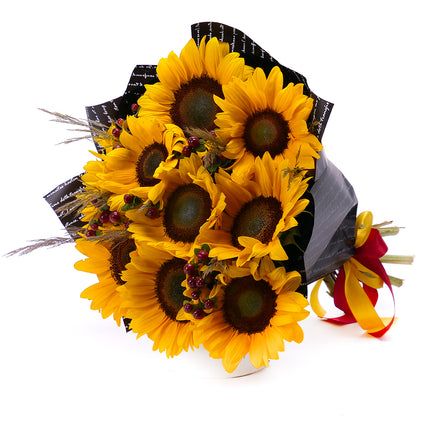 03001127_kytica-letana-31-slnecnice