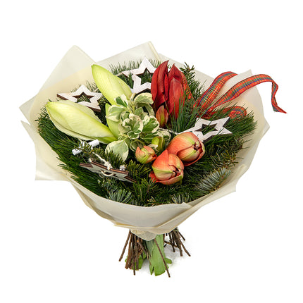 03001189_kytica-zimona-14