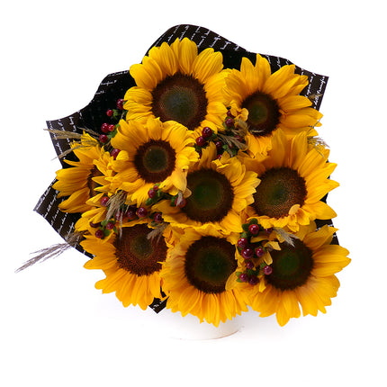 Kytica Letana 31 slnečnice