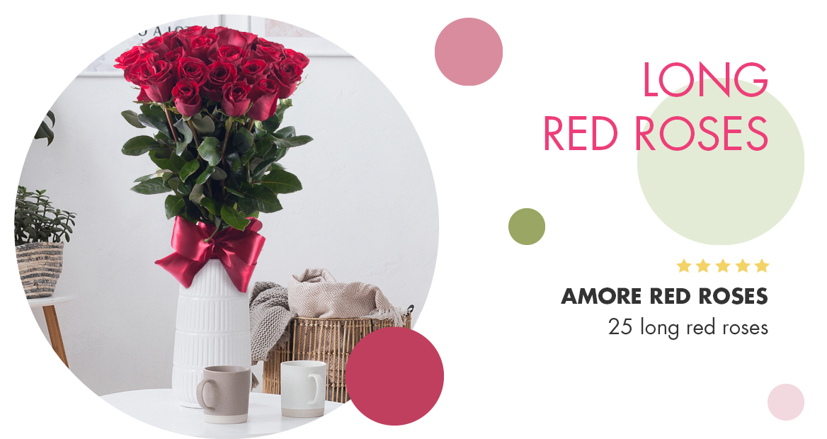 Amore red roses