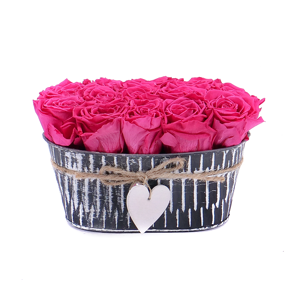 E-shop In eterno plechový box ovál 13 ruží pink framboise
